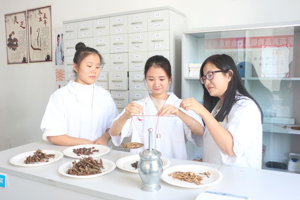 药品经营与管理专业1.JPG