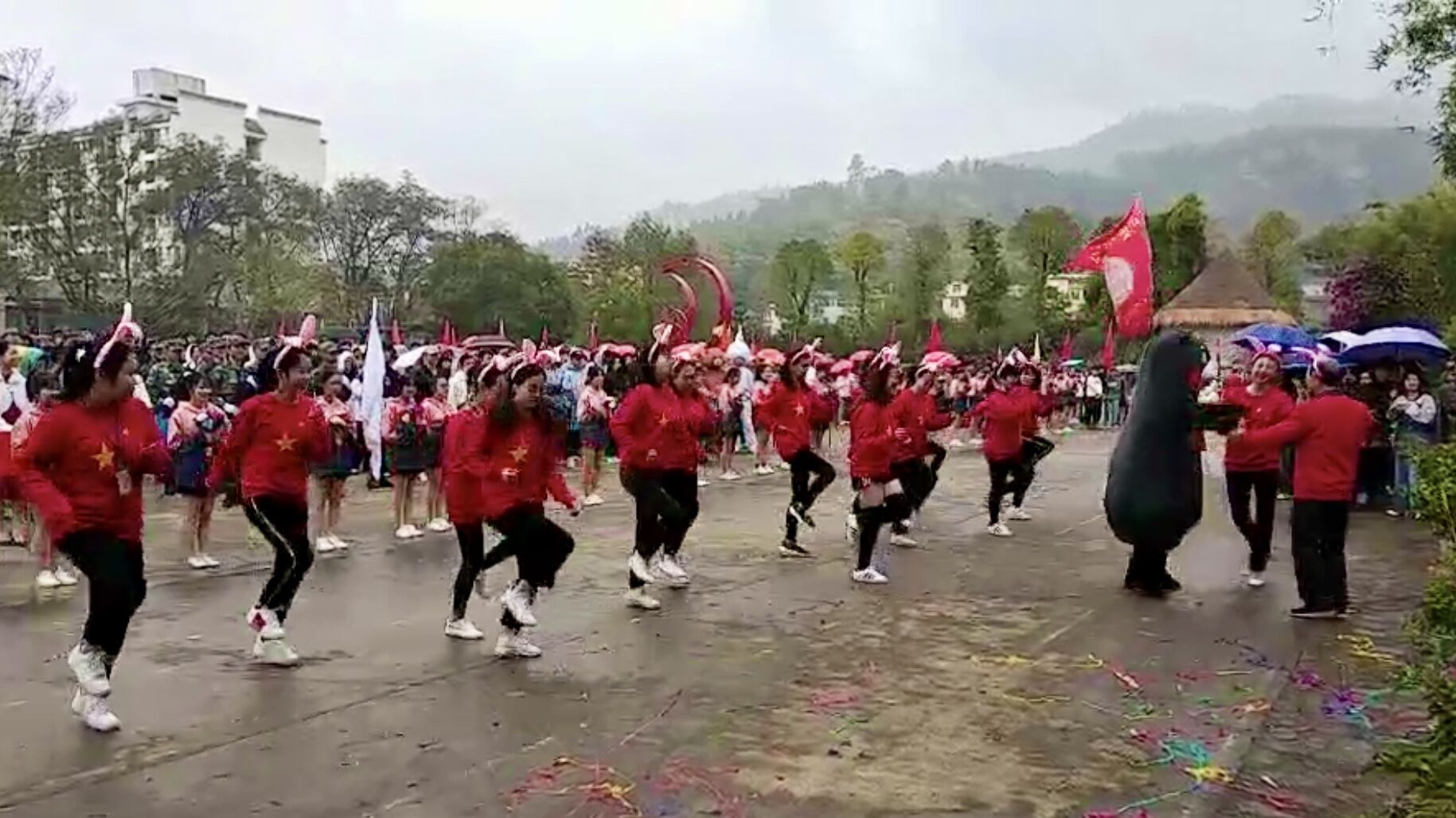 1587310537198971.jpg